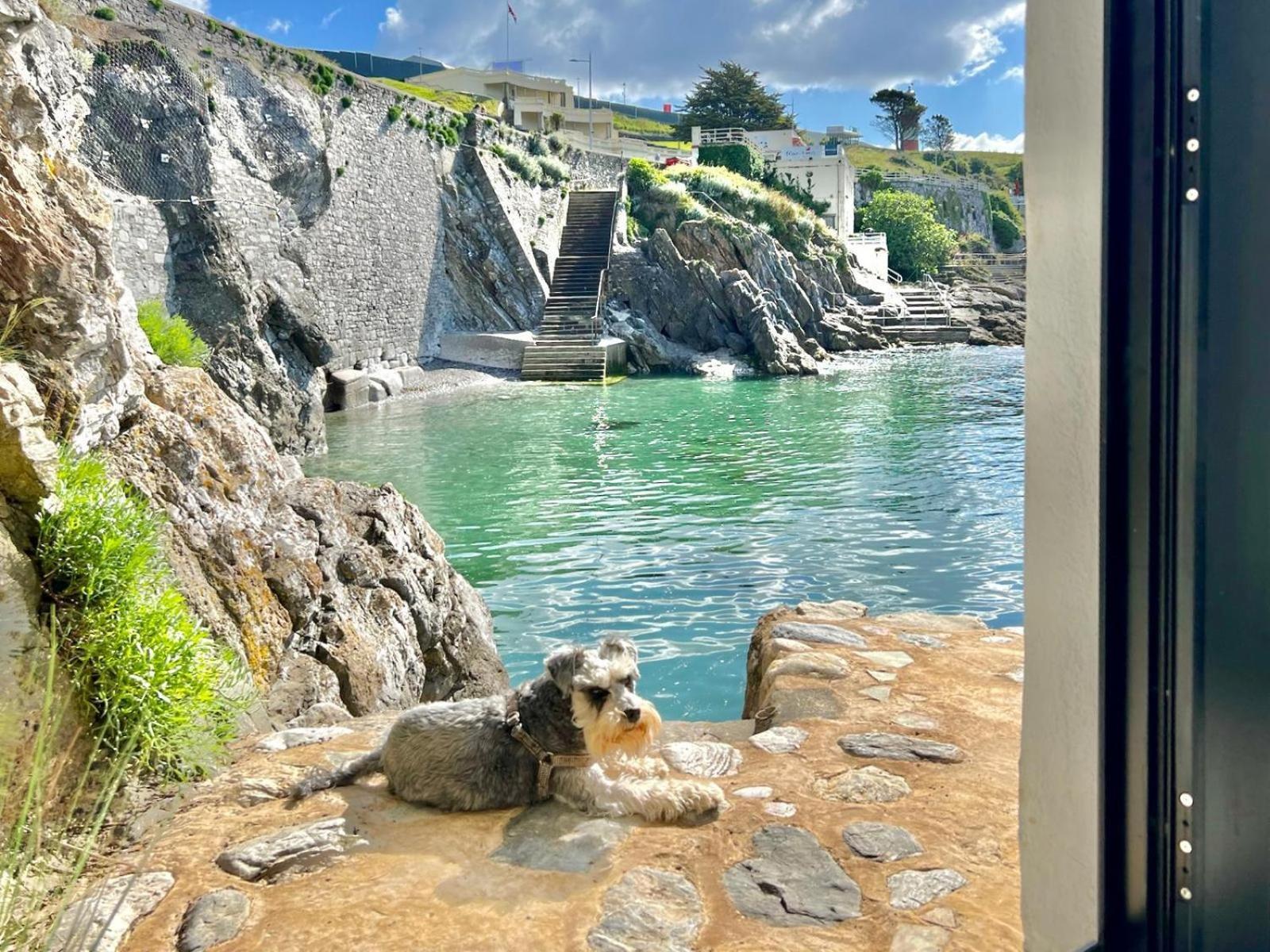 Rock Cottage Плимът Екстериор снимка